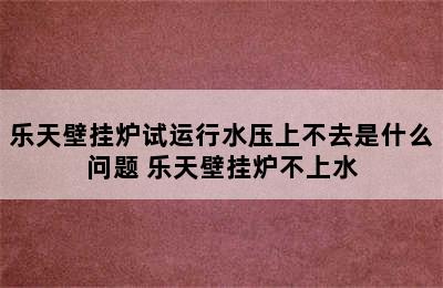 乐天壁挂炉试运行水压上不去是什么问题 乐天壁挂炉不上水